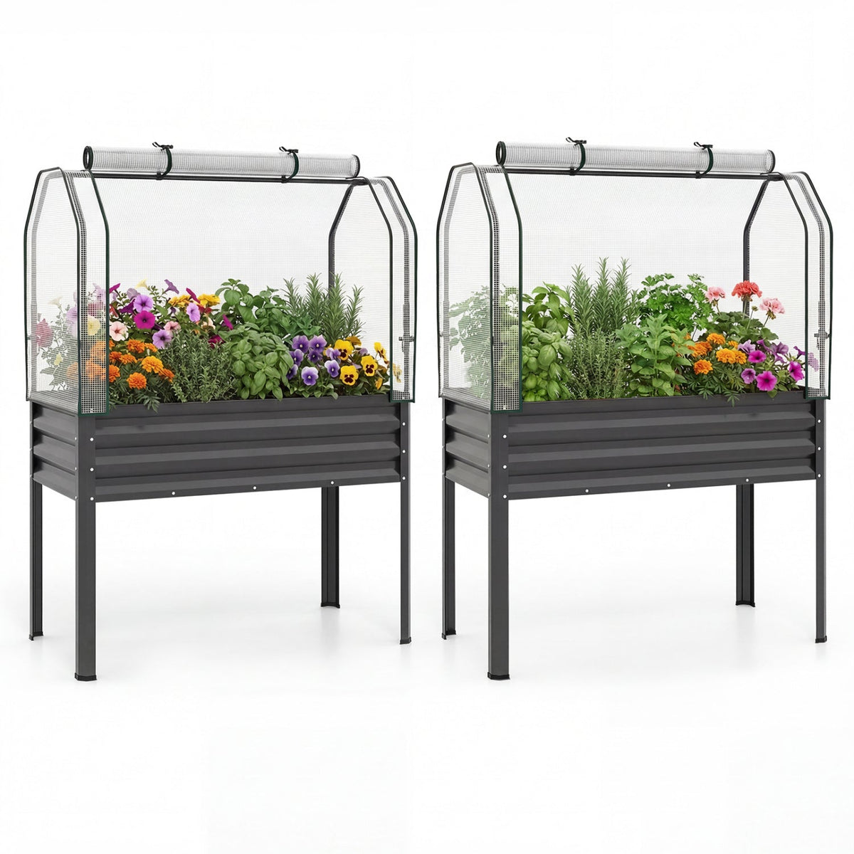 Raised Garden Beds with Legs & Greenhouse Covers – Set of 2