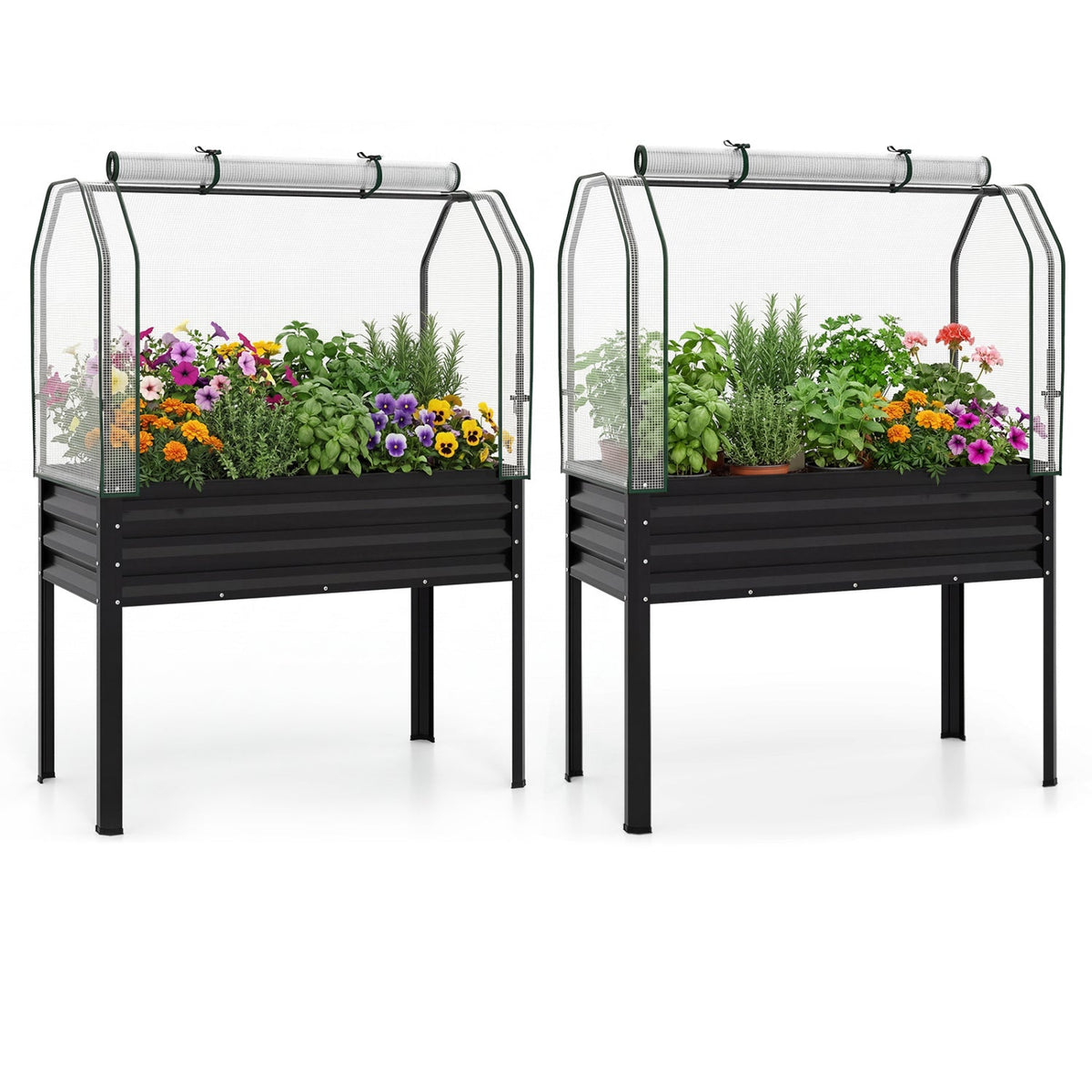 Raised Garden Beds with Legs & Greenhouse Covers – Set of 2