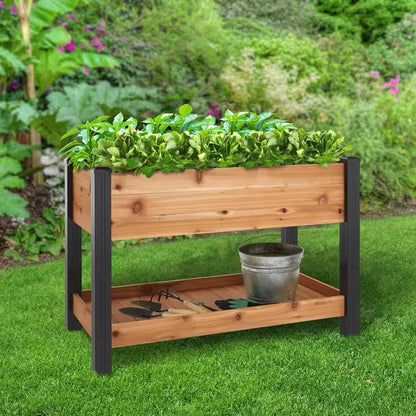 2x4 ft Waist-High Cedar Wood Raised Garden Bed With Black Vinyl Legs & Built-In Storage Shelf