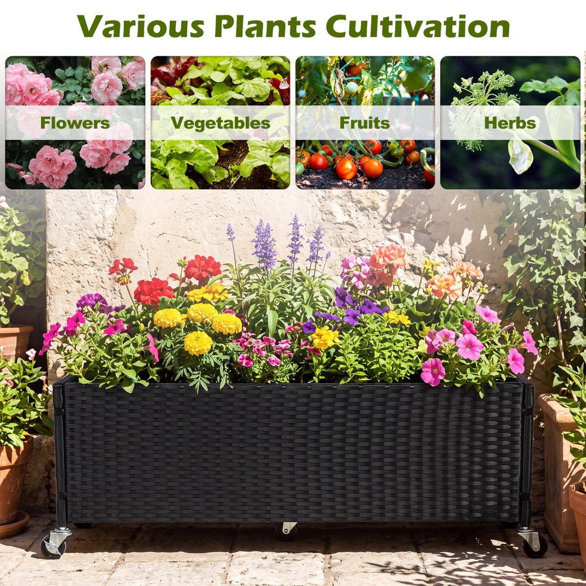 Black PE Rattan Raised Planter Set of 2 with Lockable Wheels